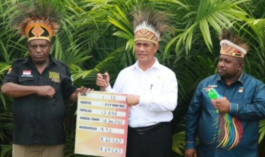 Targetkan Papua Jadi Contoh Hilirisasi Sawit! Begini Kata Pak Mentan..